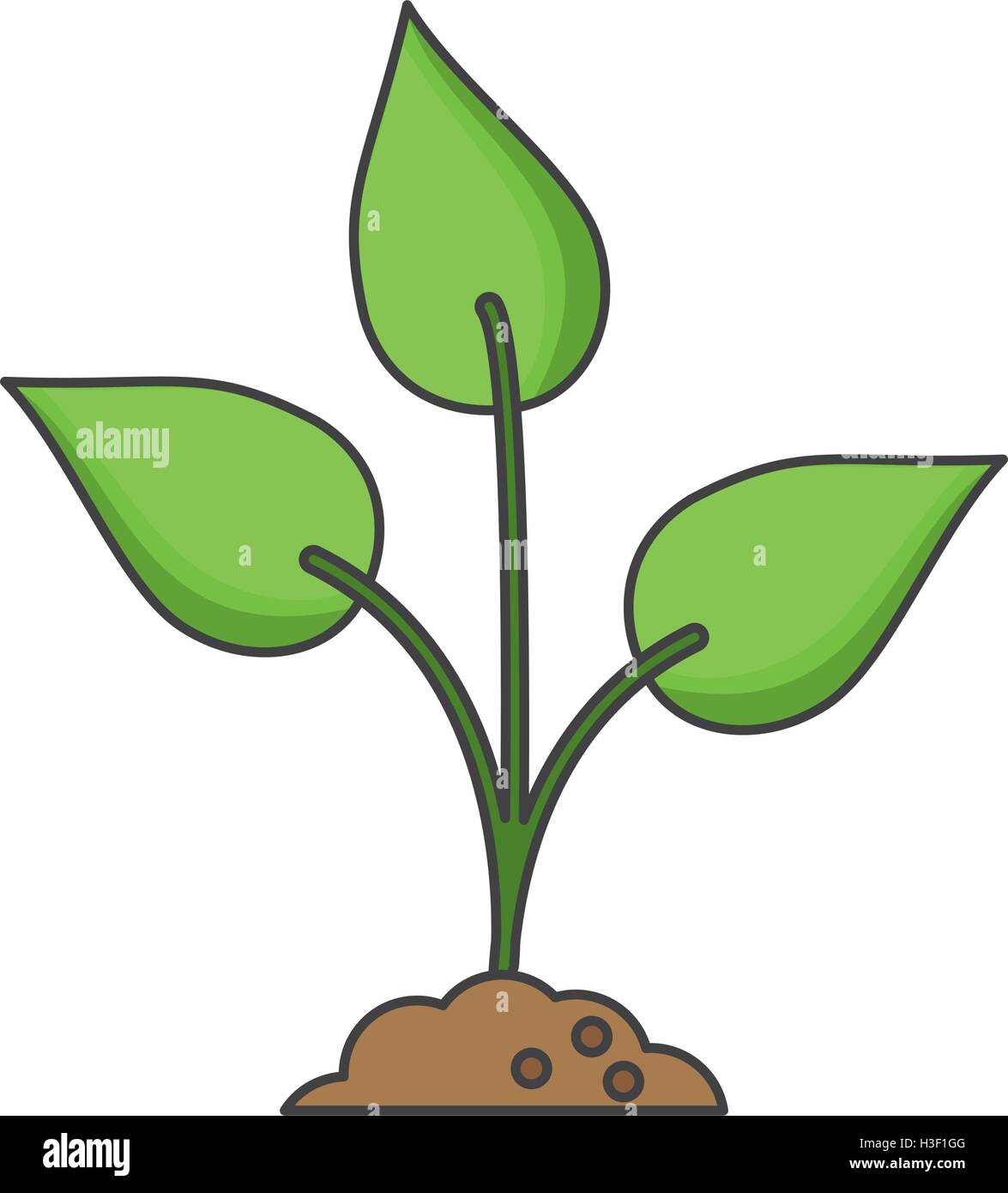 Isolated leaves and nature plant design Stock Vector Image & Art - Alamy
