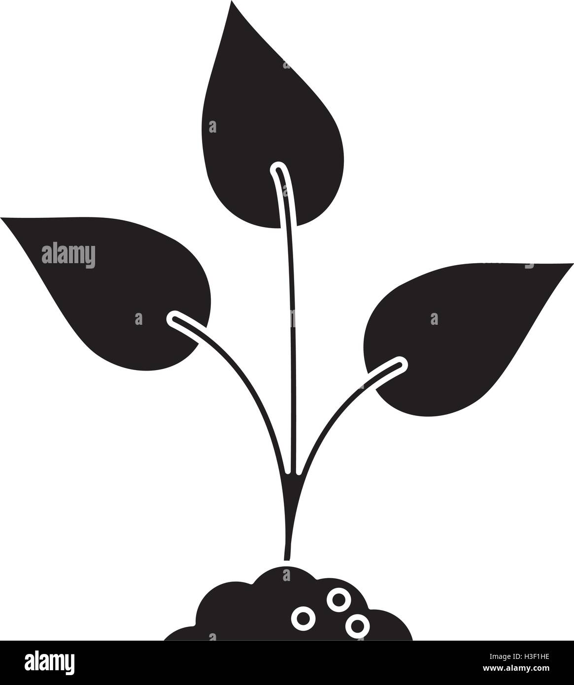 Isolated leaves and nature plant design Stock Vector Image & Art - Alamy