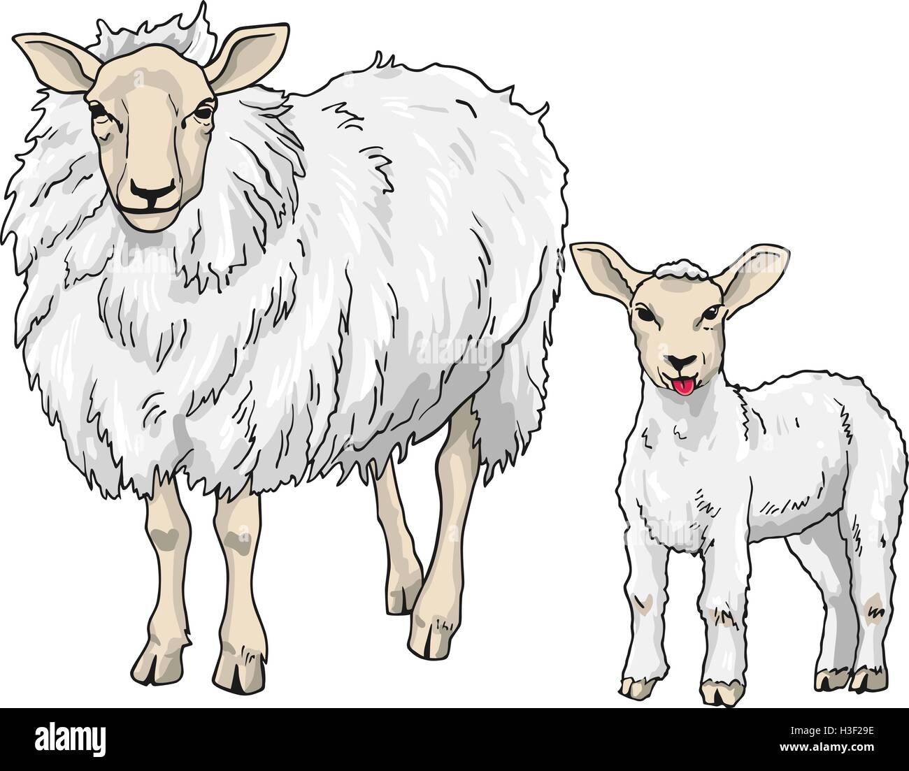 Sheep and Lamb, Vector Illustration on White Background Stock Vector