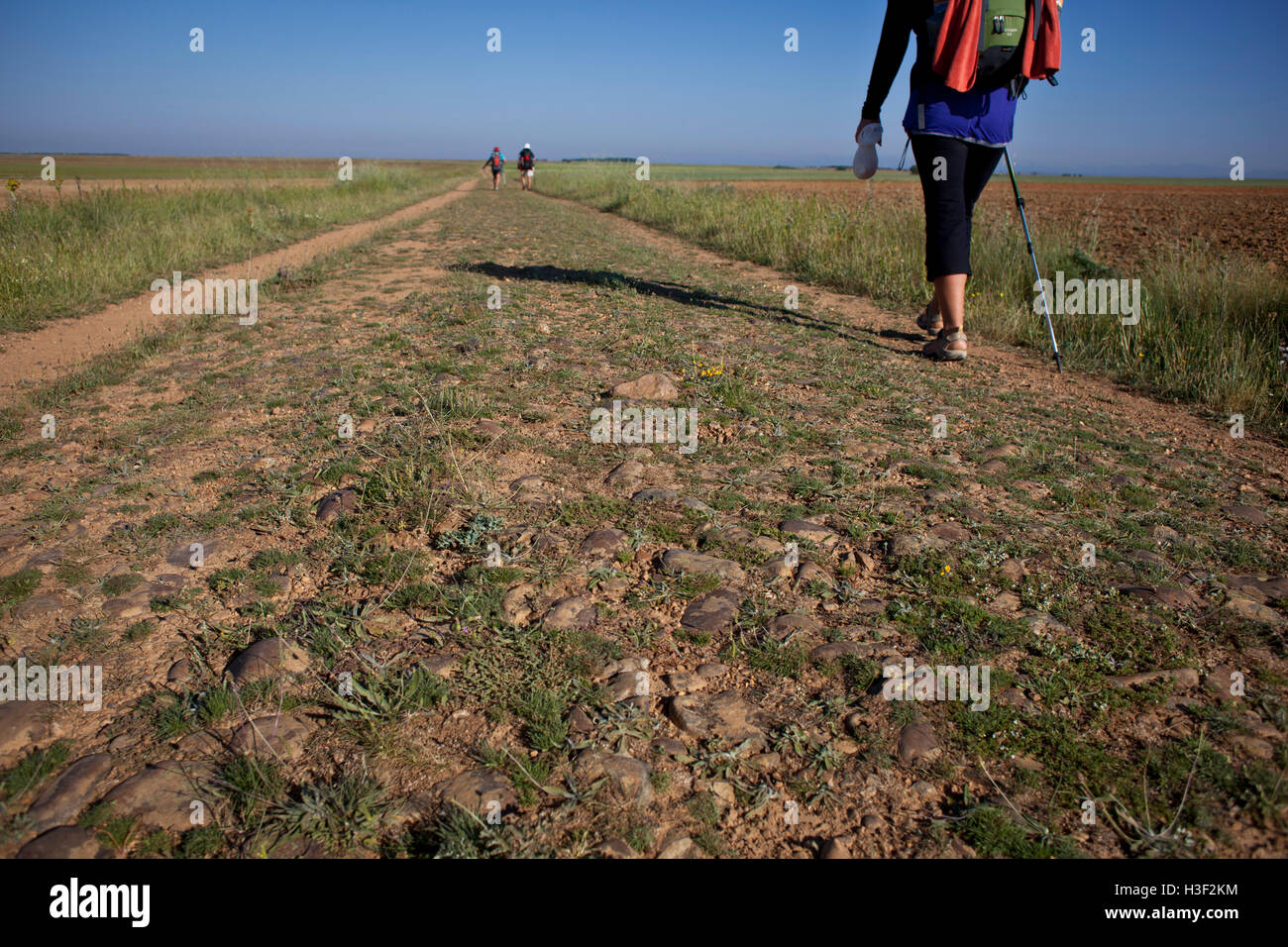 Pilgrims walking along rough stone road along the Camino de Santiago ...