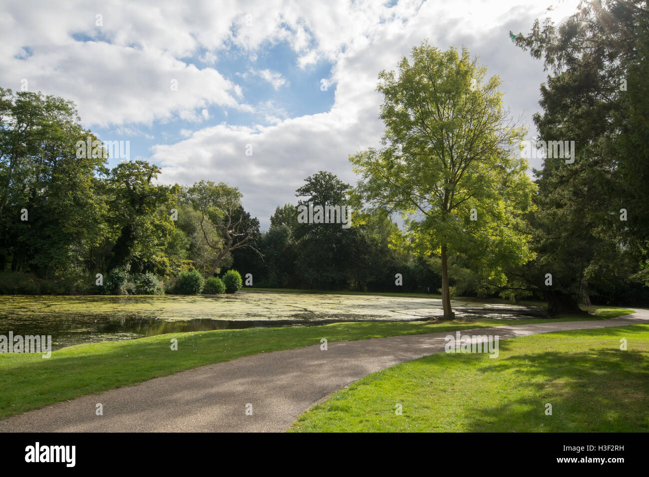View of Painshill Park in Surrey, England Stock Photo - Alamy