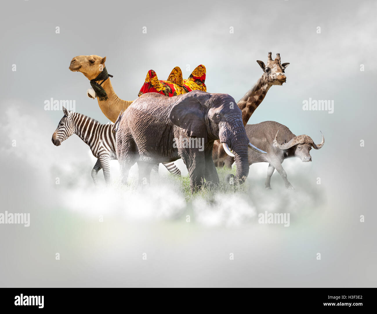 Wild animals group - giraffe, elephant, zebra above white clouds in gray sky Stock Photo