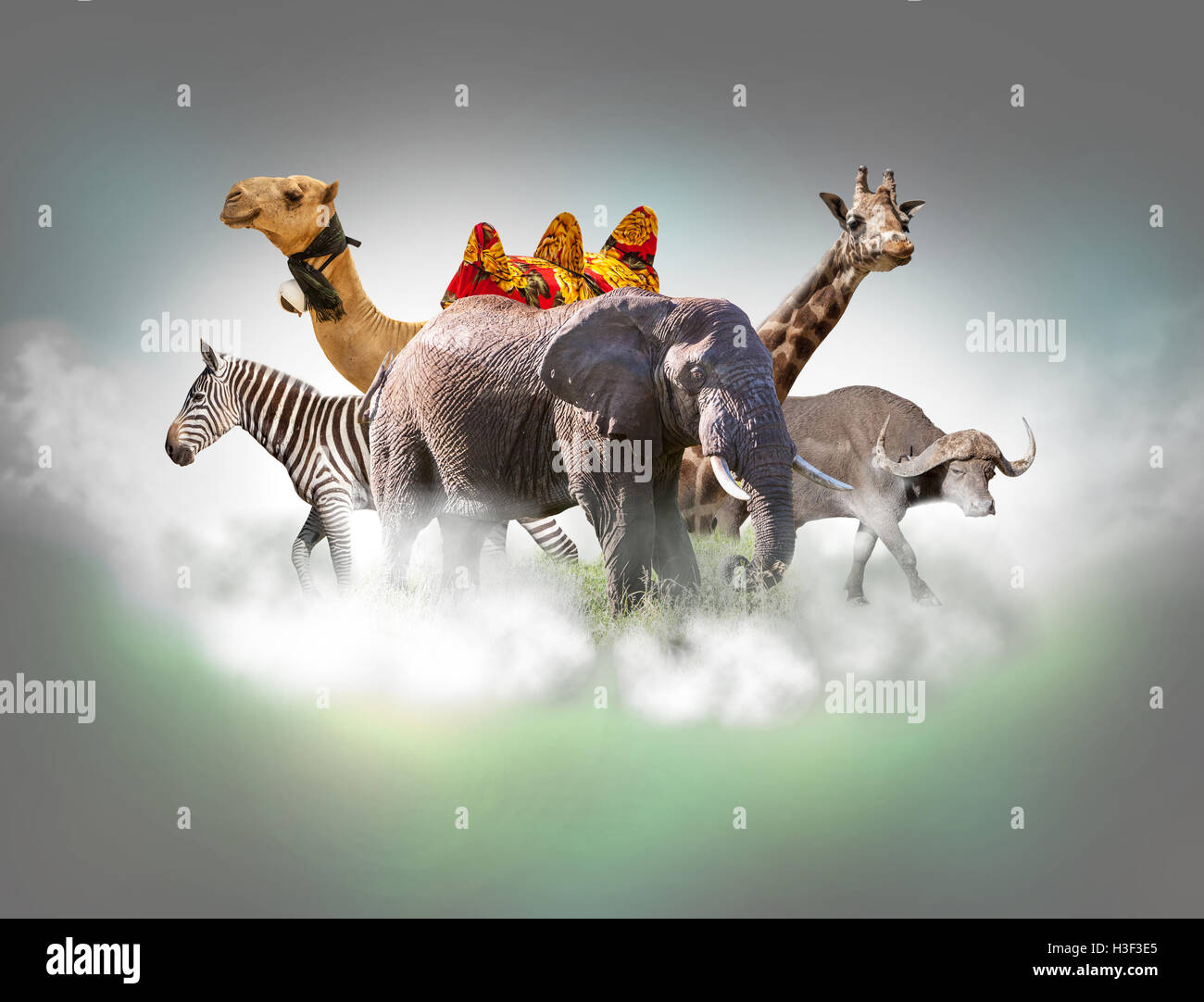 Wild animals group - giraffe, elephant, zebra above white clouds in gray sky Stock Photo