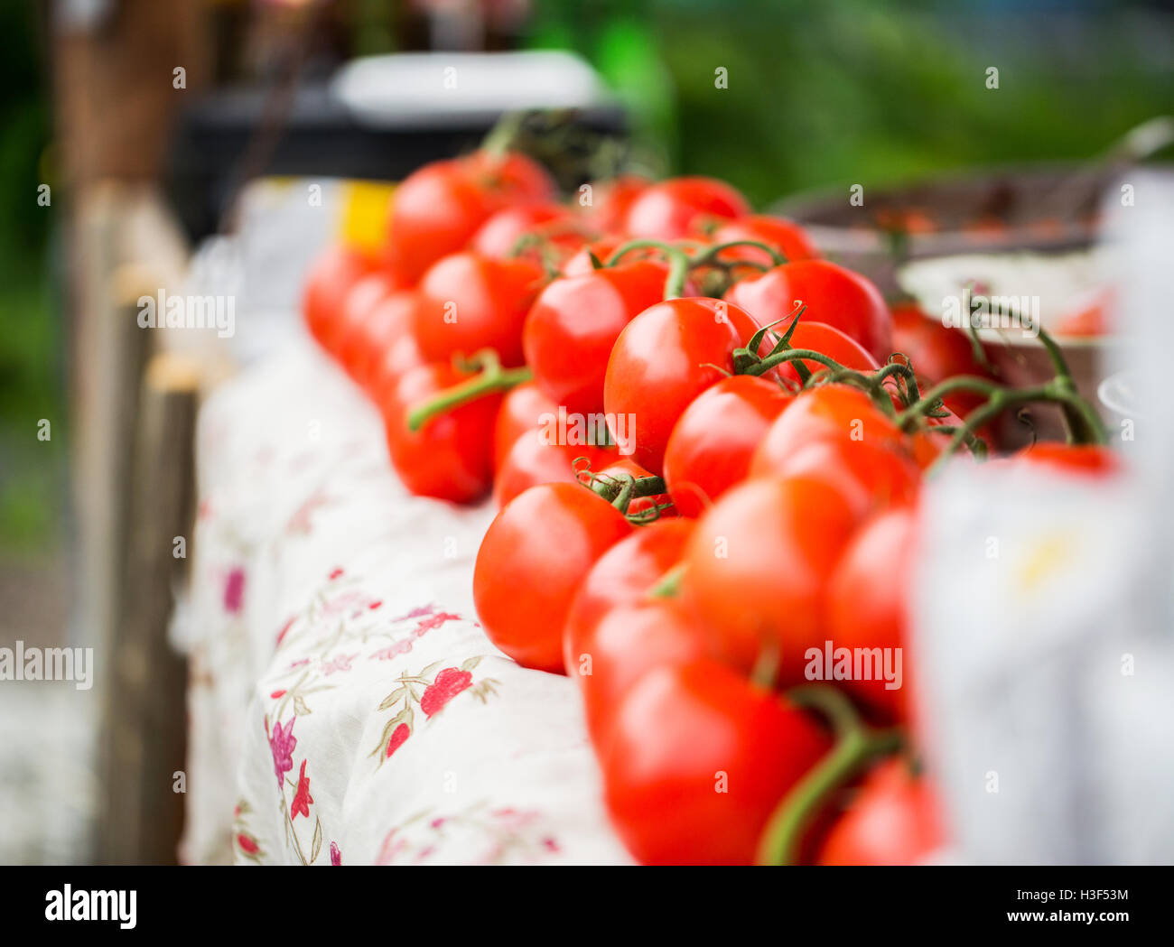 close up of ripe red tomatoes at street market Stock Photo - Alamy