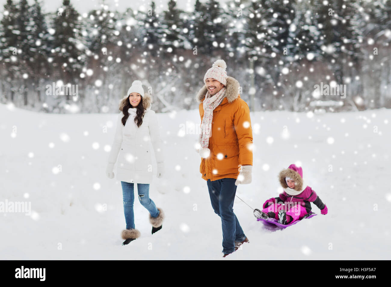 happy family with sled walking in winter forest Stock Photo - Alamy