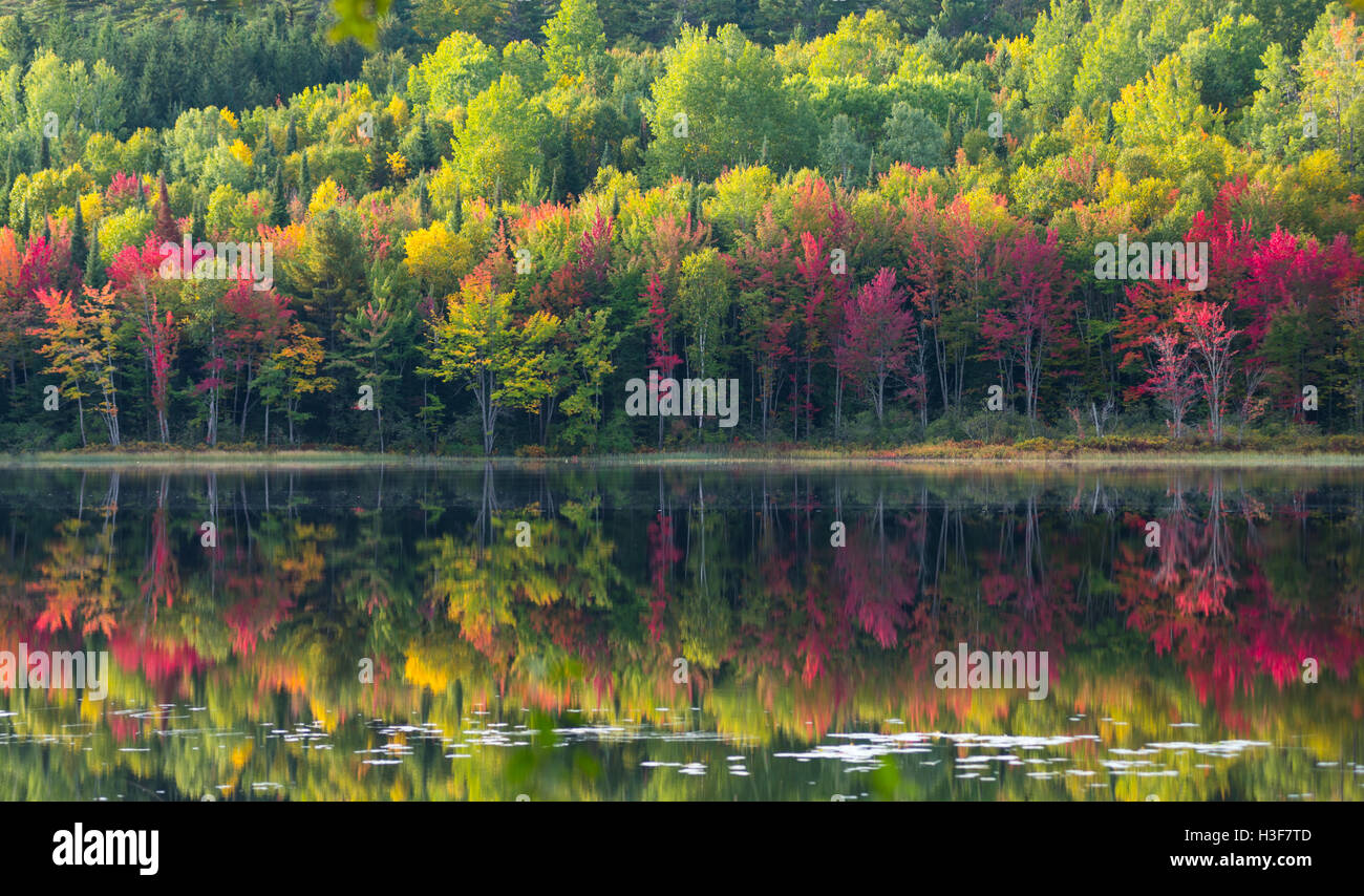 Vibrant October colors on autumn deciduous trees reflected on calm water of Corry Lake. Stock Photo