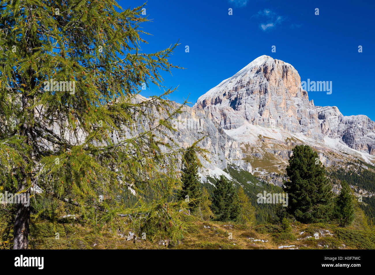 Autumn season in the Ampezzo Dolomites. Larches forest. Tofana di Rozes mountain peak. Passo Falzarego. Dolomiti. Italian Alps. Europe. Stock Photo