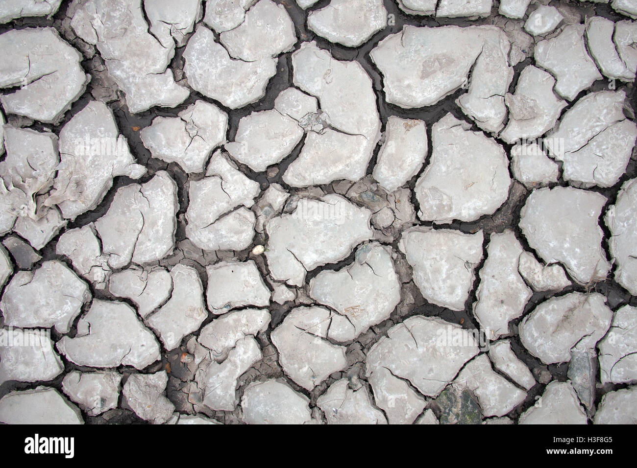 Dry cracked soil earth drought climate change global warming Stock Photo