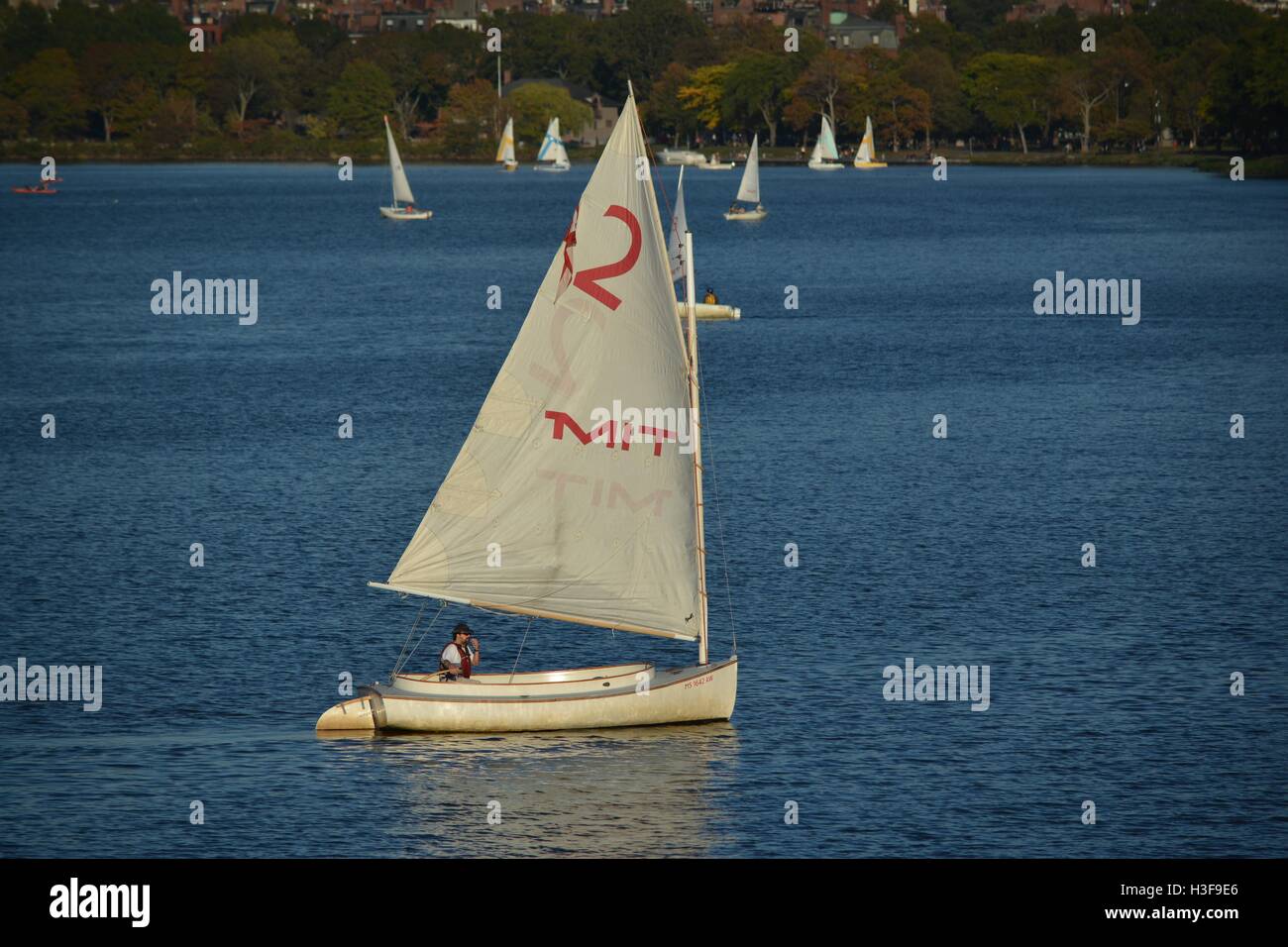 Sail boats on the Charles River between Boston and Cambridge