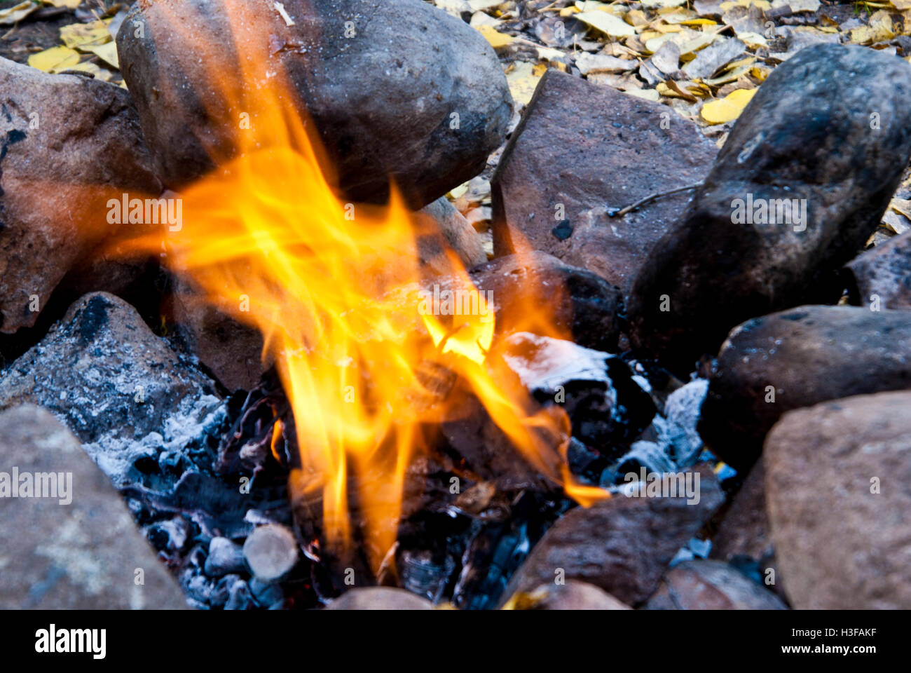 Camp Fire Stock Photo