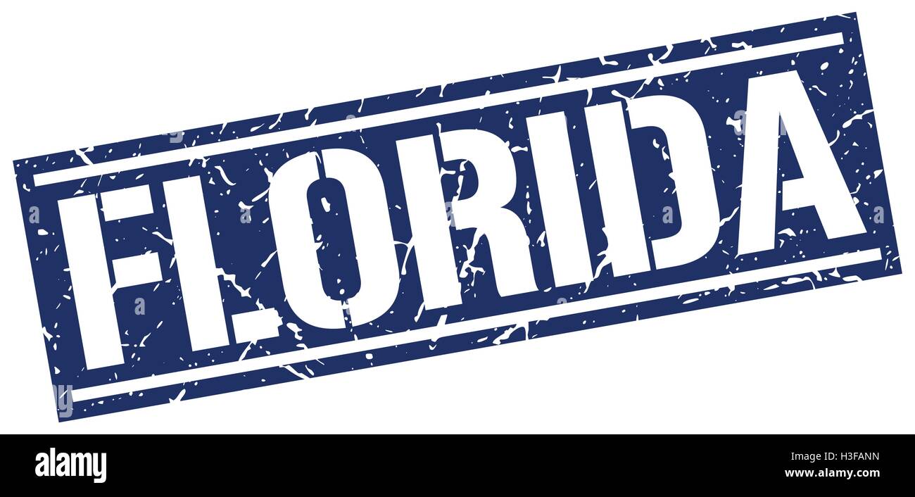 Florida blue square stamp Stock Vector Image & Art Alamy