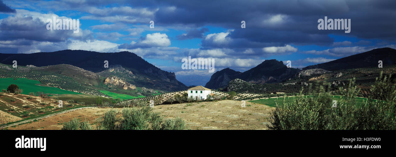 Andalucian landscape near Granada, Spain Stock Photo