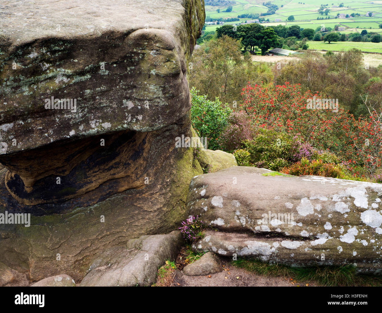 Nidderdale from The Druids Writing Desk at Brimham Rocks North Yorkshire England Stock Photo