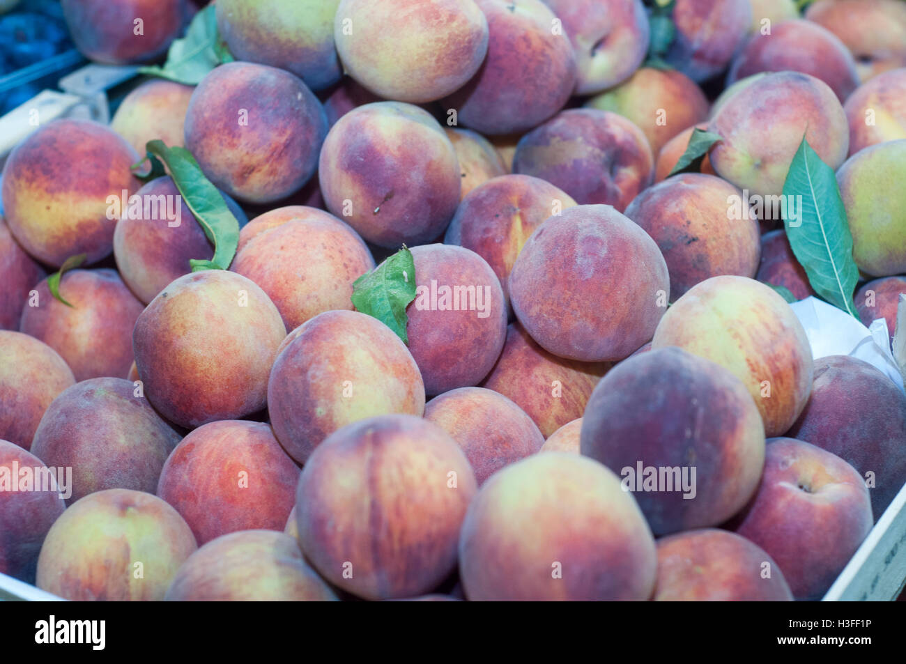 Fresh peaches on display at farmers market Stock Photo Alamy