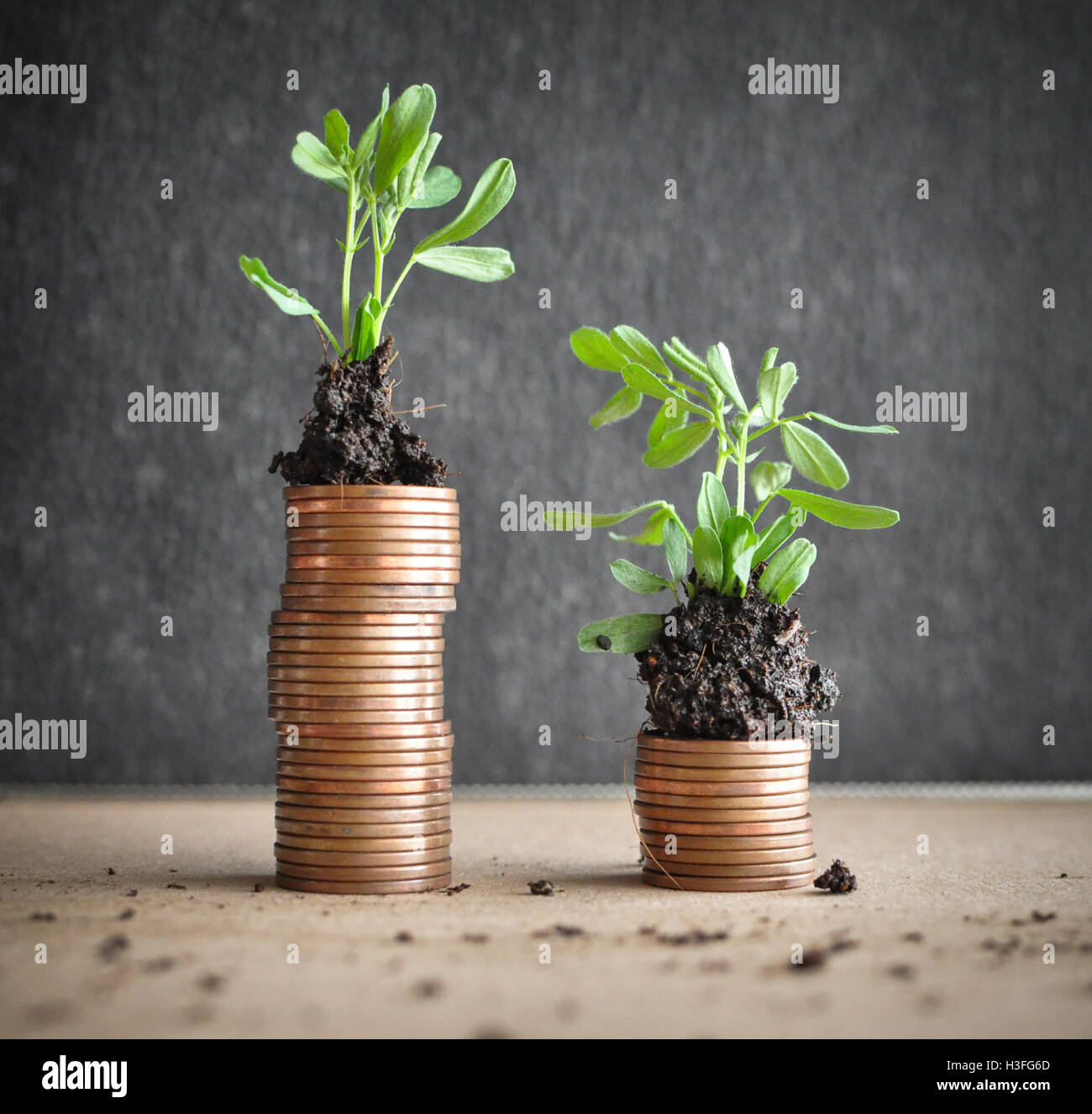 Coins with young plants in soil. Money growth concept Stock Photo