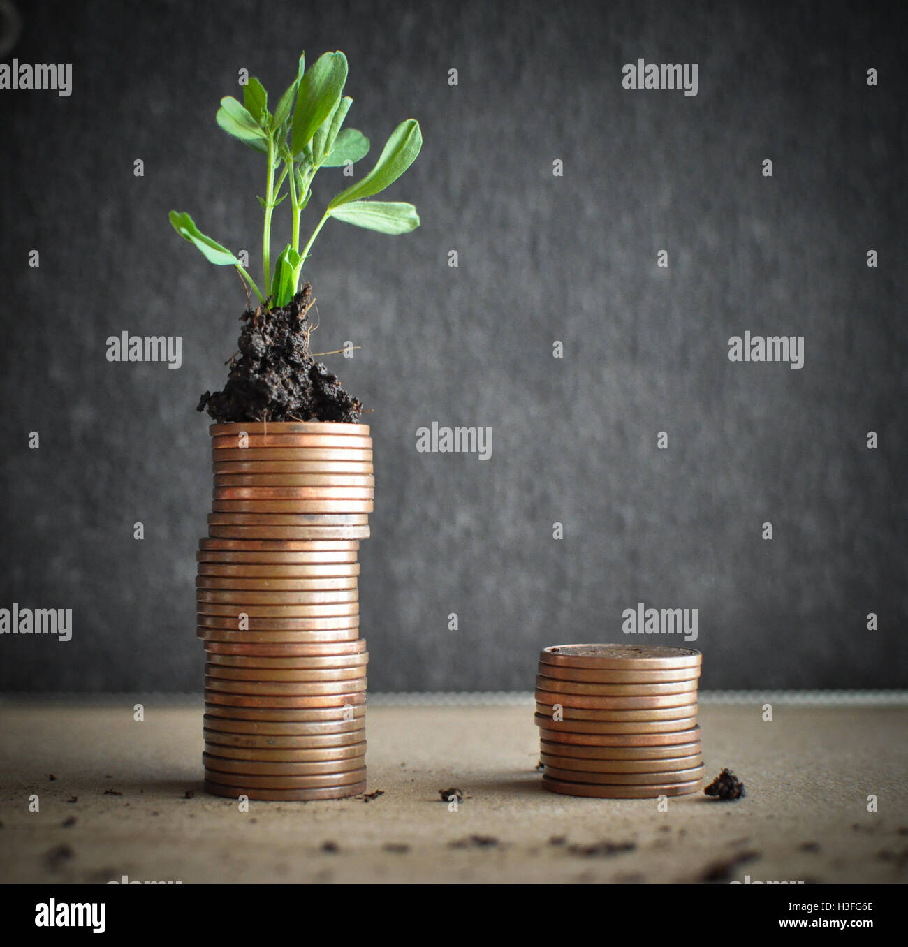 Coins with young plants in soil. Money growth concept Stock Photo