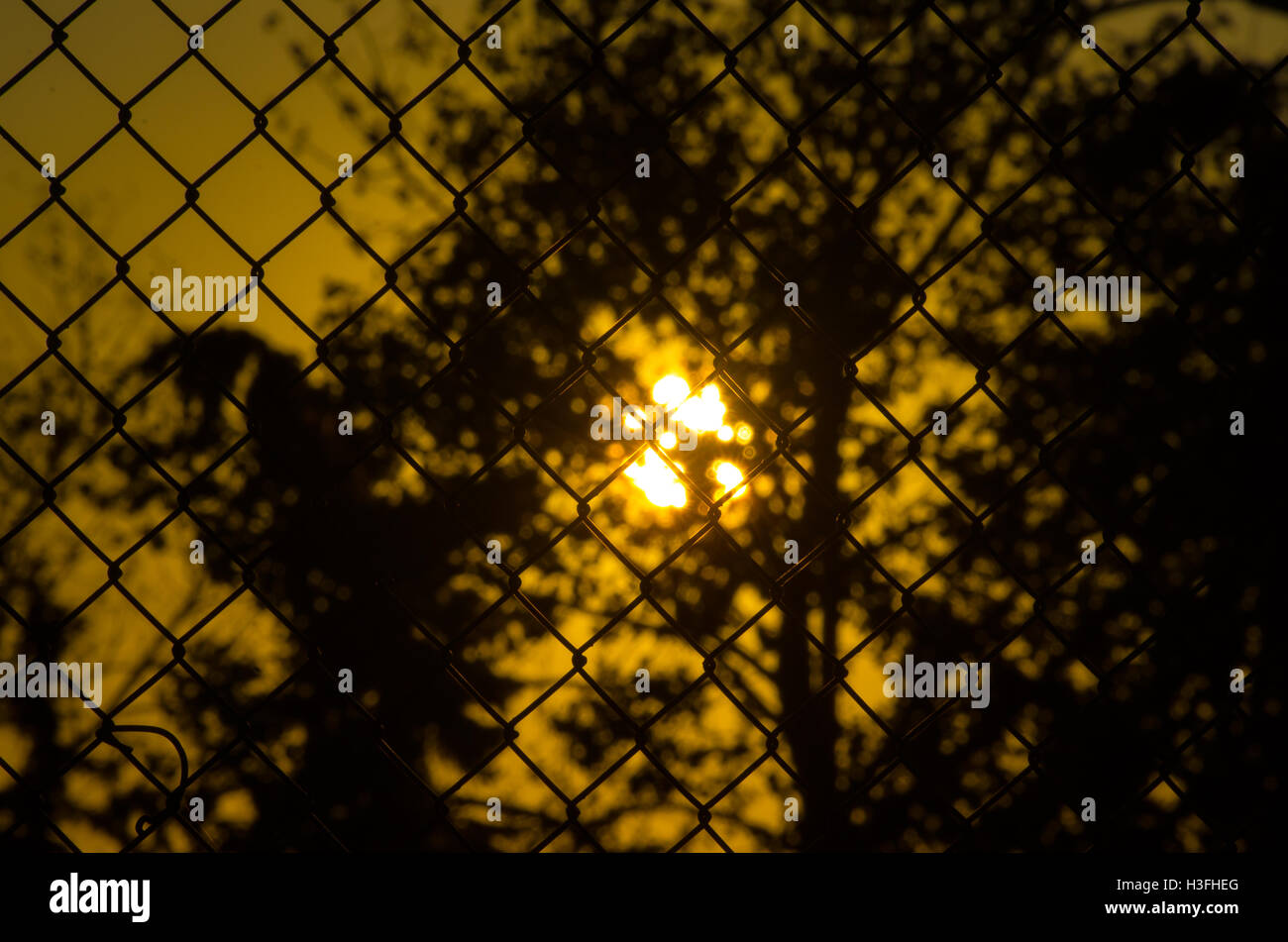 Dark silhouette of fence with setting sun behind Stock Photo