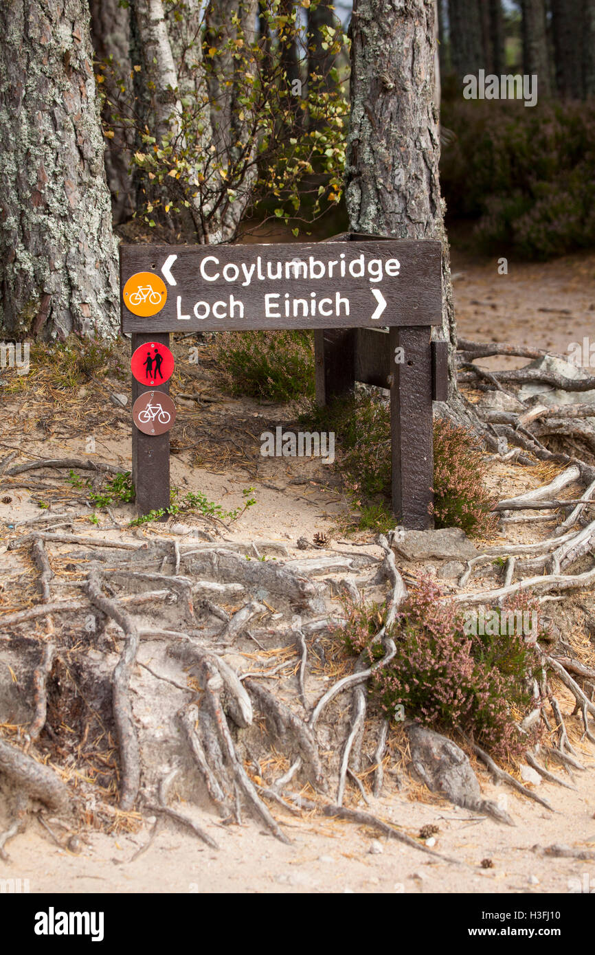 Coylumbridge and Loch Einich wooden sign located in the Rothiemurchus Estate near to Loch an Eilein, Highlands, Scotland Stock Photo