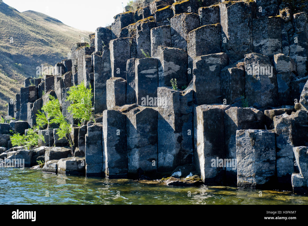 Columnar basalt along the Lower Salmon River in westcentral Idaho