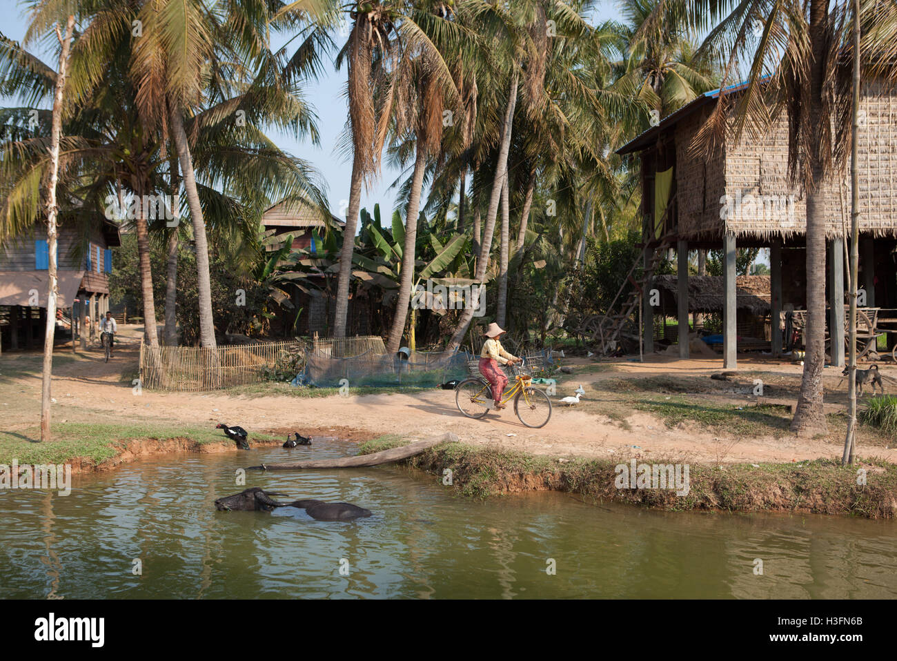 Village in countryside near Siem Reap in Cambodia Stock Photo Alamy