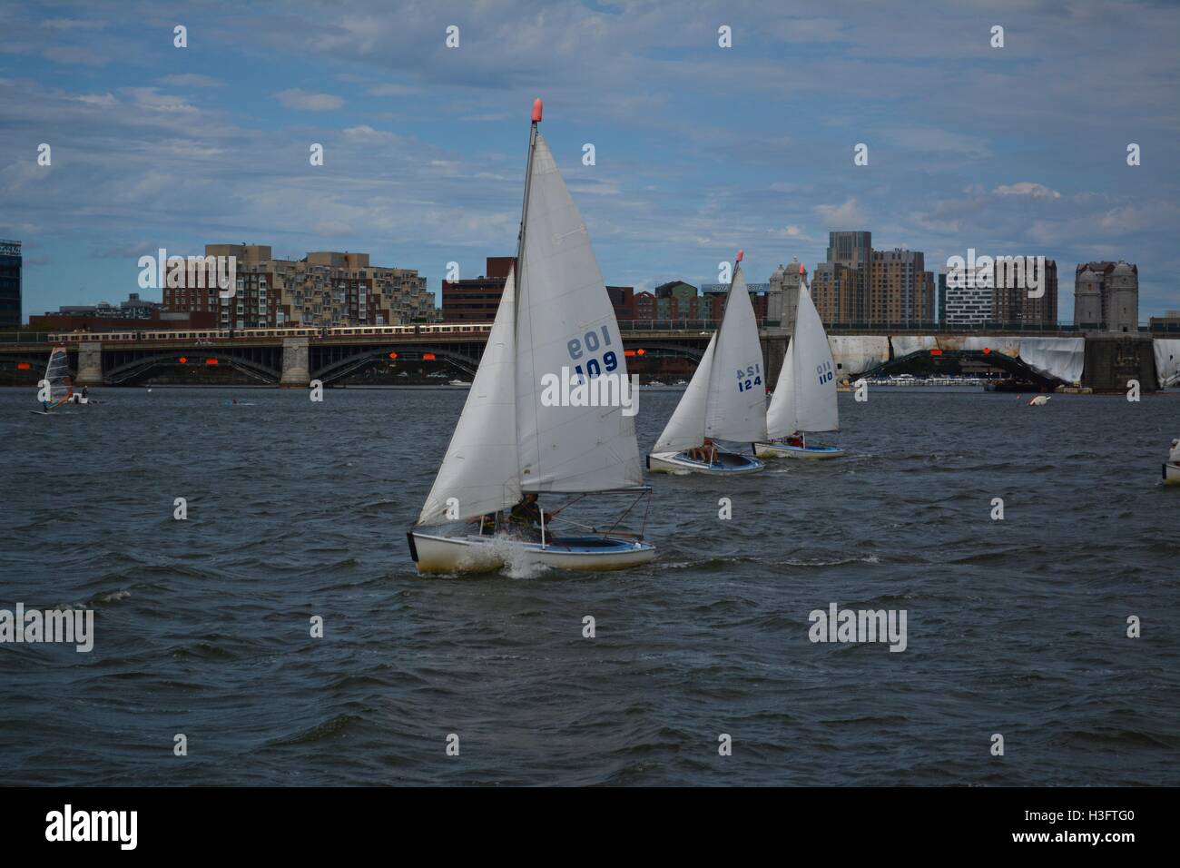Sail boats on the Charles River between Boston and Cambridge
