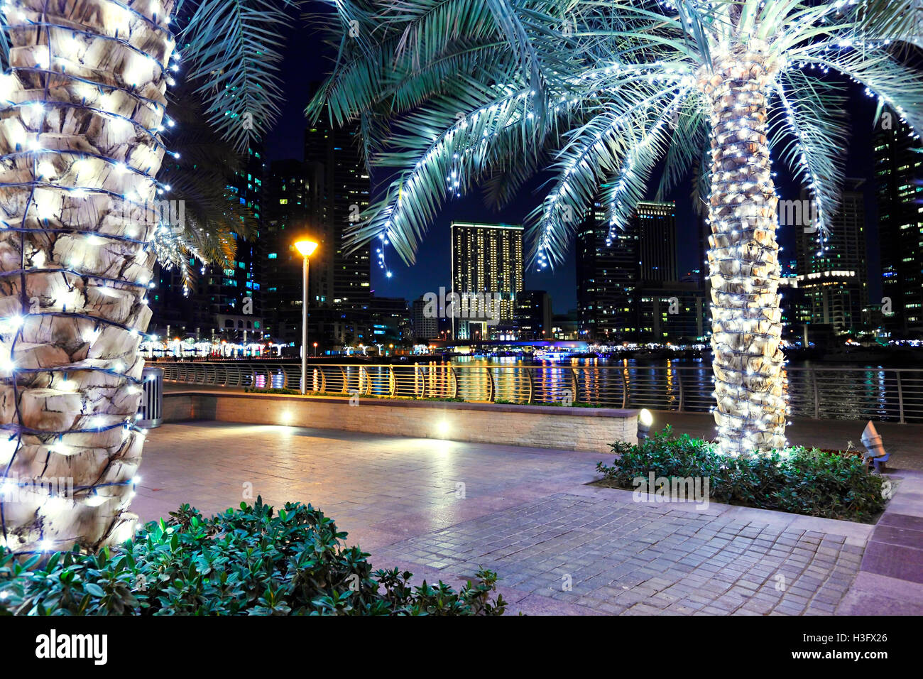 Decorated and illuminated palms in the night in Dubai Marina Stock Photo