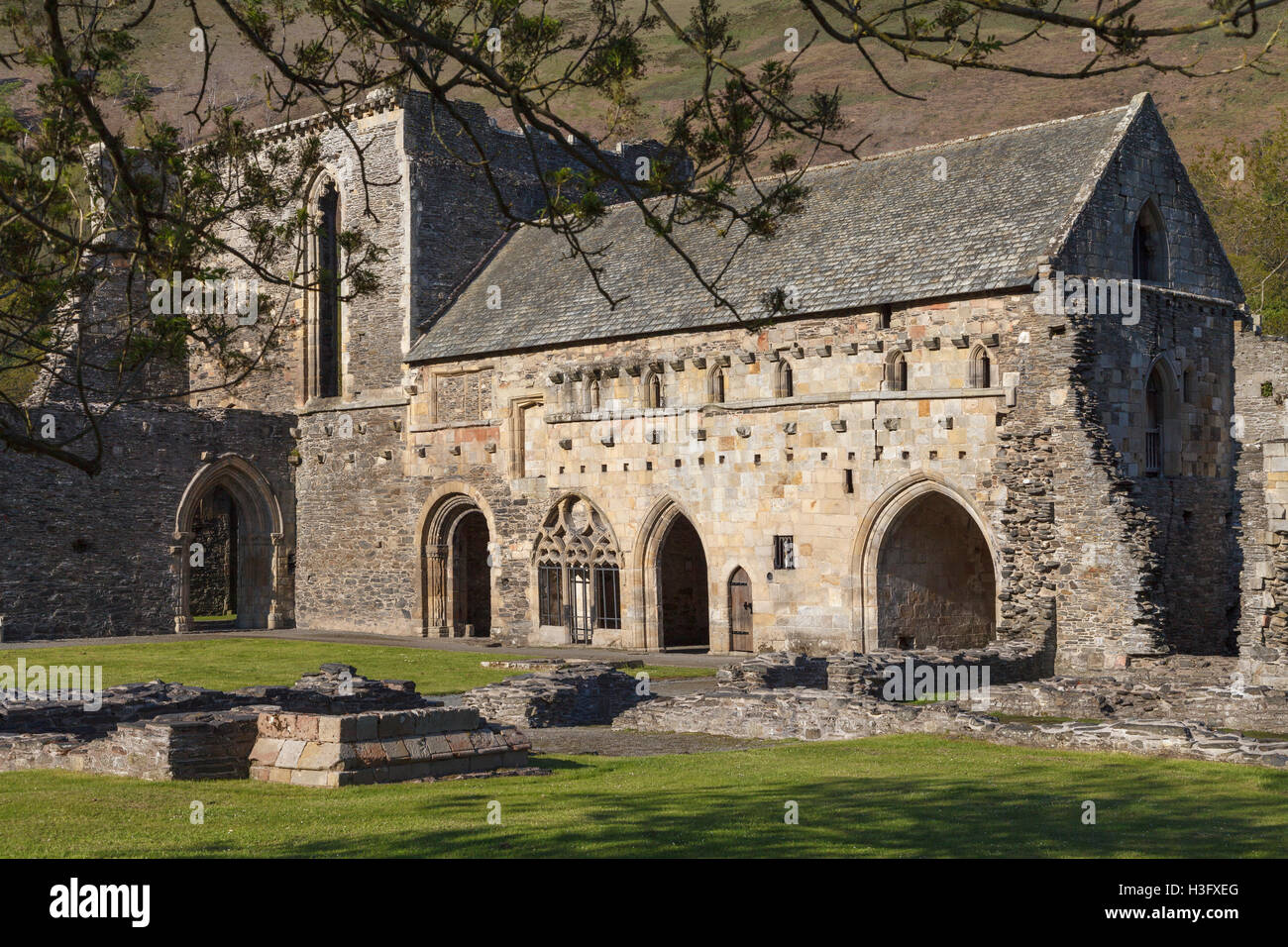 Valle Crucis Abbey, Llantysilio, near Llangollen, Denbishire, Wales
