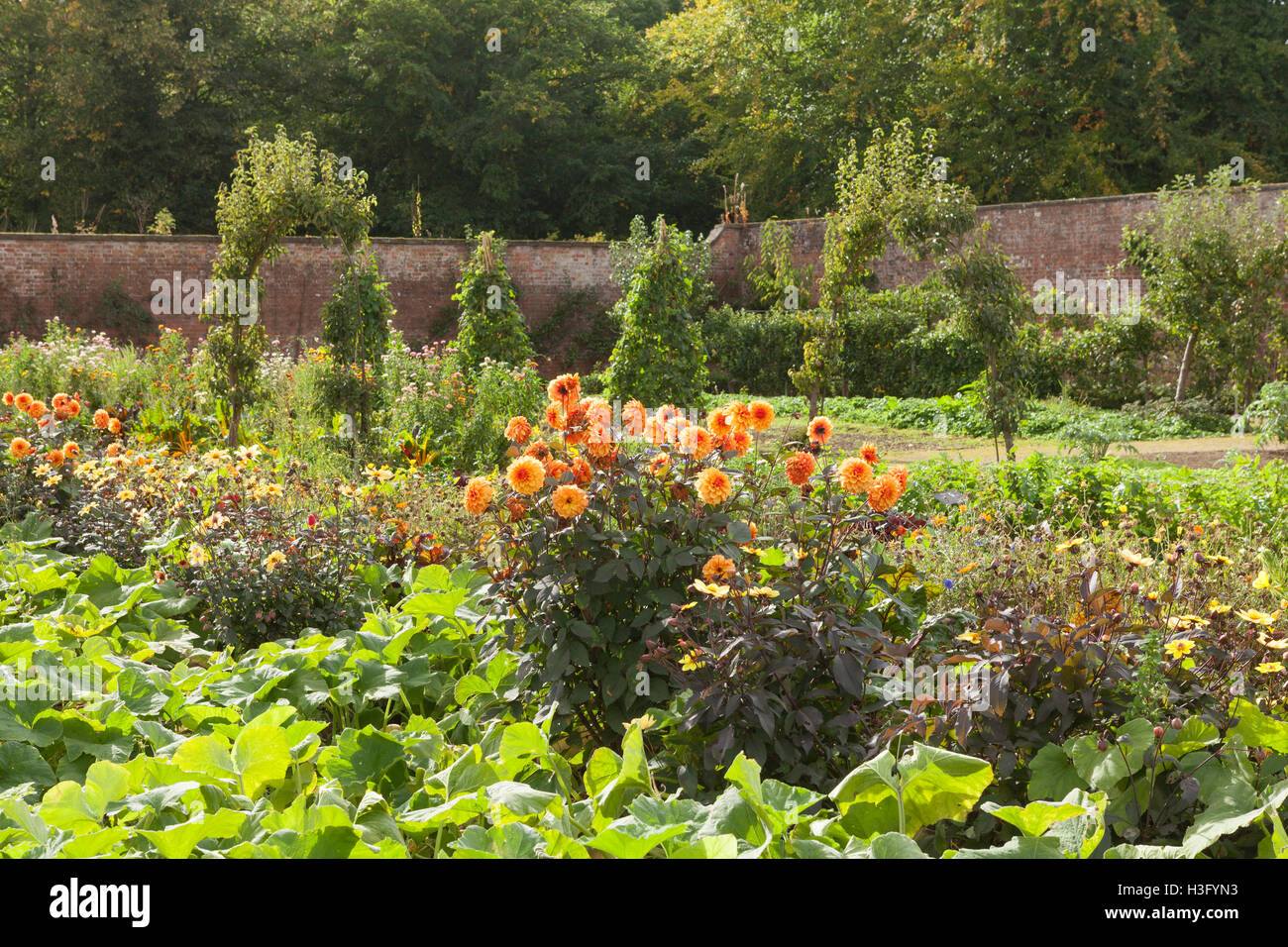 Victorian kitchen garden hires stock photography and images Alamy