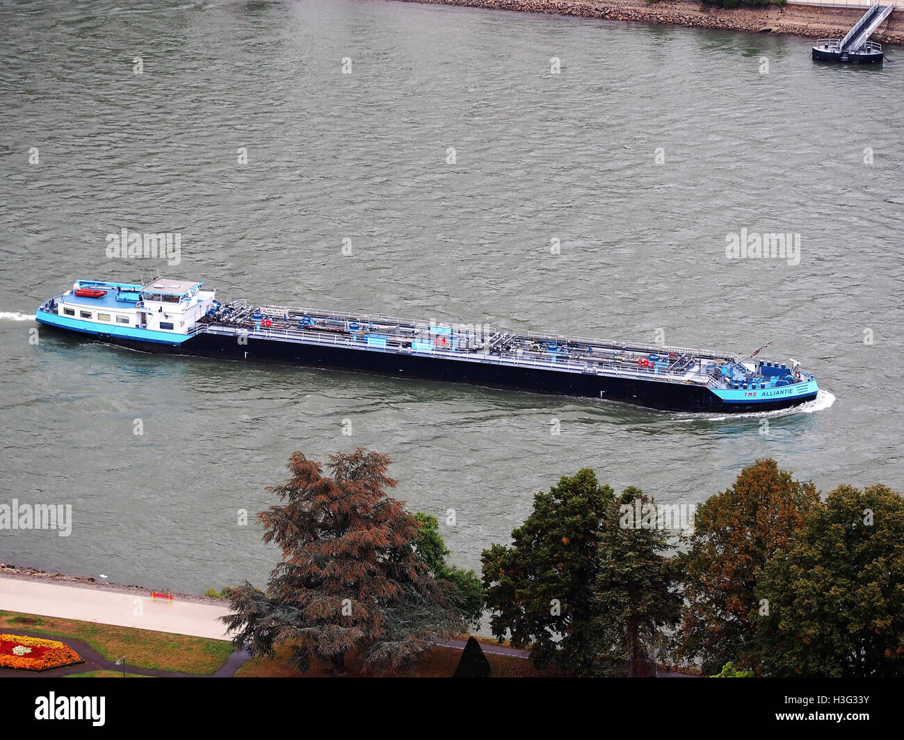 TMS Alliantie (ship, 1998) ENI 02323837, Sankt Goar, Der Rhein pic5 Stock Photo