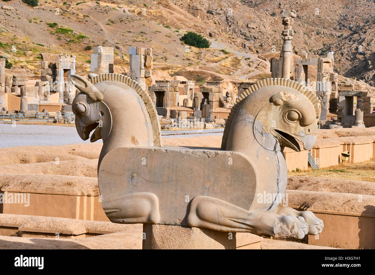 Iran, Fars Province, Persepolis, World Heritage of the UNESCO, bird of prey Stock Photo