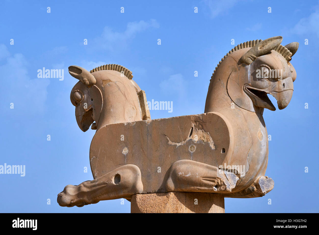 Iran, Fars Province, Persepolis, World Heritage of the UNESCO, bird of prey Stock Photo