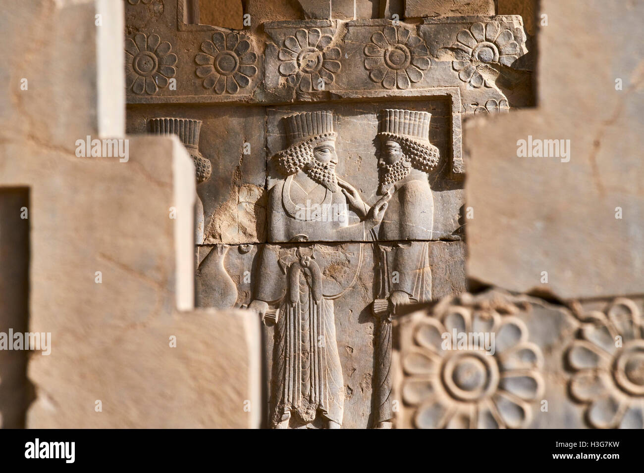 Iran, Fars Province, Persepolis, World Heritage of the UNESCO, procession of the tributaries Stock Photo