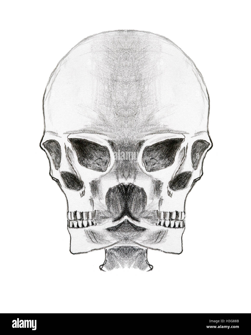 Bizarre skull - pencil on paper Stock Photo