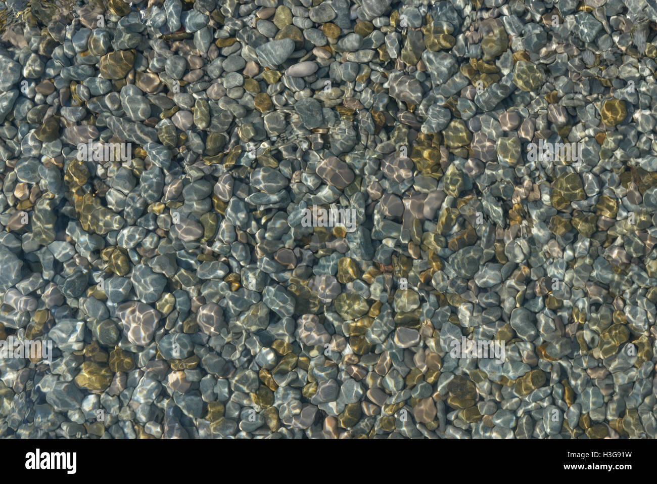 Shimmering sun glares on pebble seabed under clear water of shallow of ...