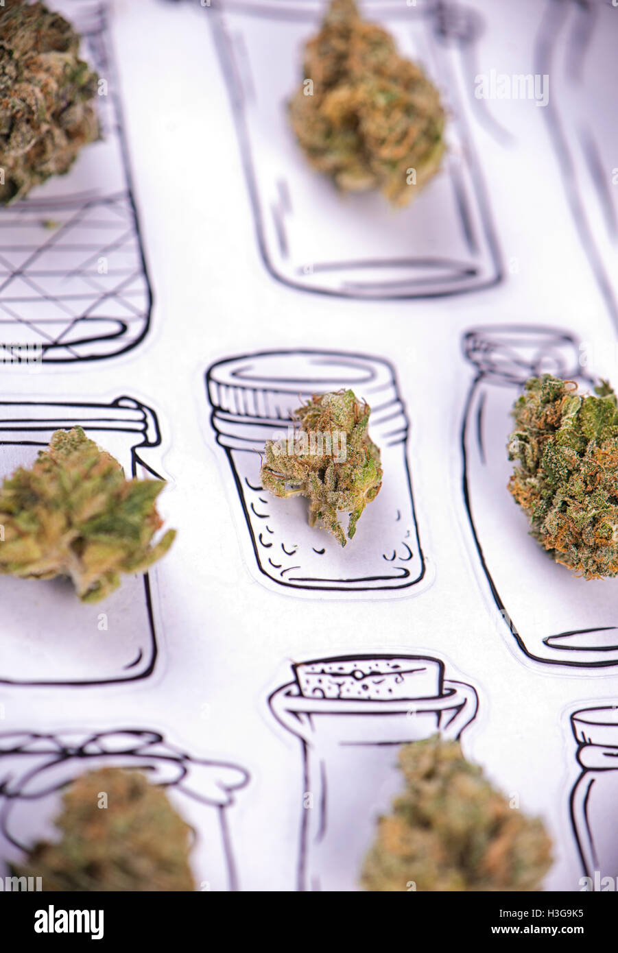 Dried cannabis (marijuana) buds pattern over a jar drawing on white paper Stock Photo