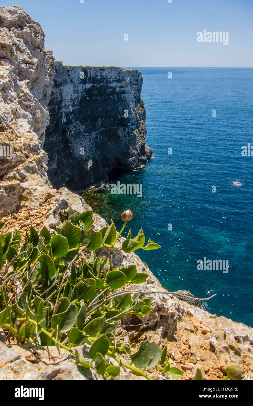 Cliffs on Comino ssland aside Gozo island Stock Photo