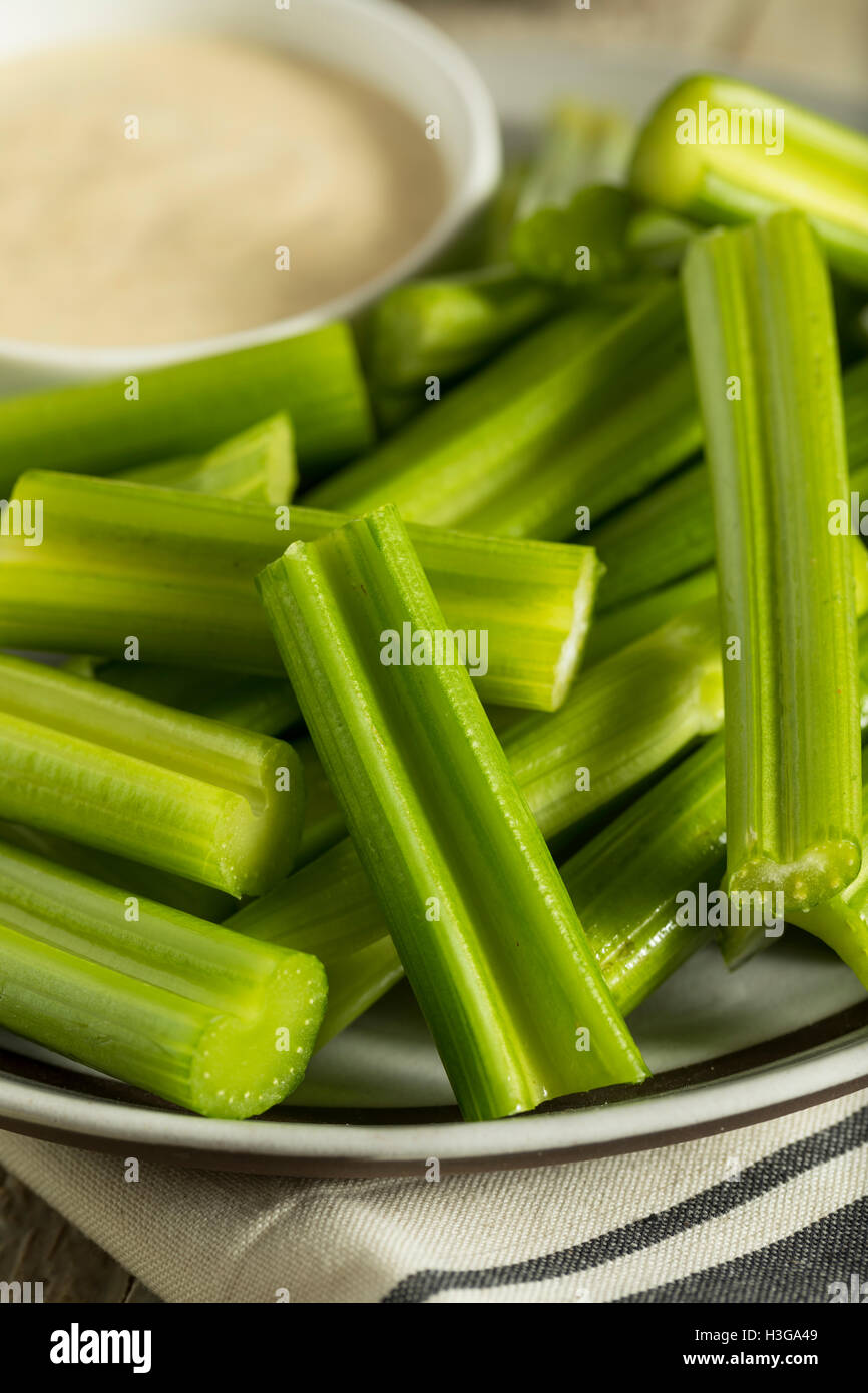 Raw Organic Green Celery Stalks with Ranch Dip Stock Photo