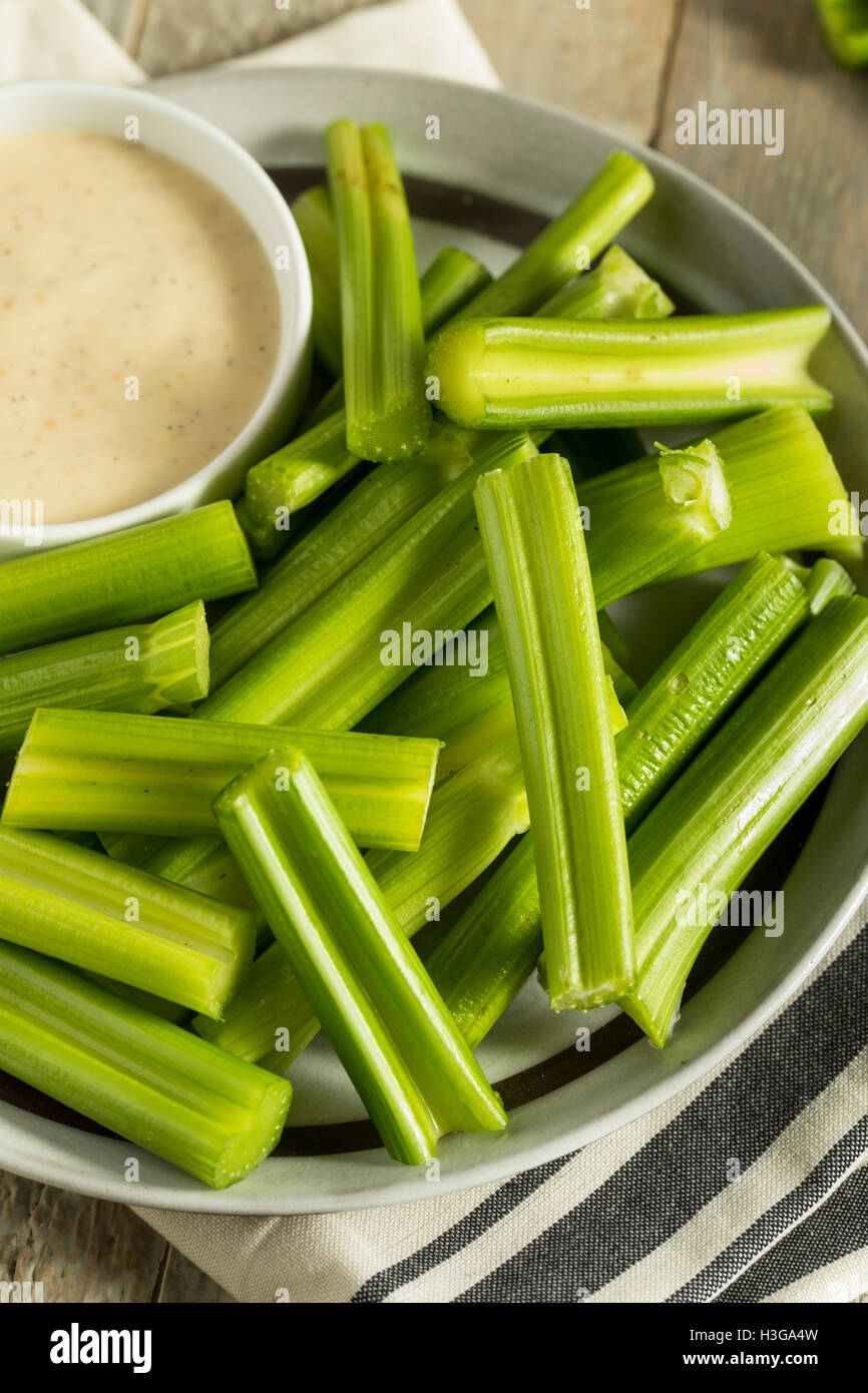 Raw Organic Green Celery Stalks with Ranch Dip Stock Photo