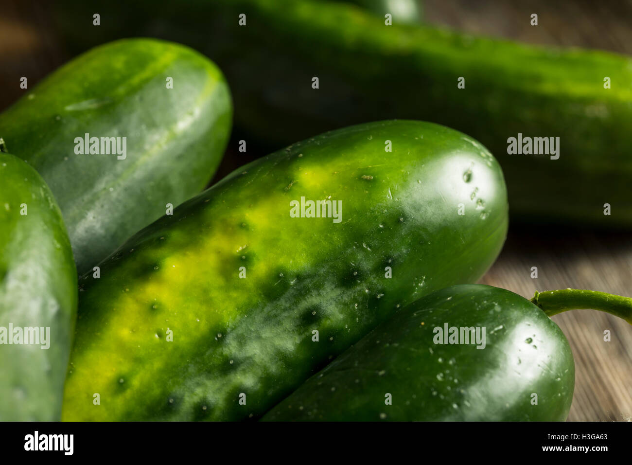 Raw Green Organic Cucumbers Ready for Eating Stock Photo Alamy