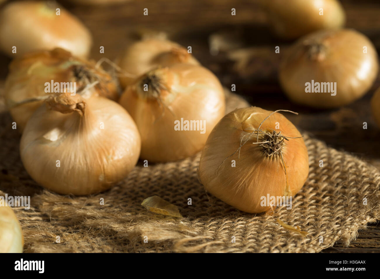 Cipollini onions hires stock photography and images Alamy