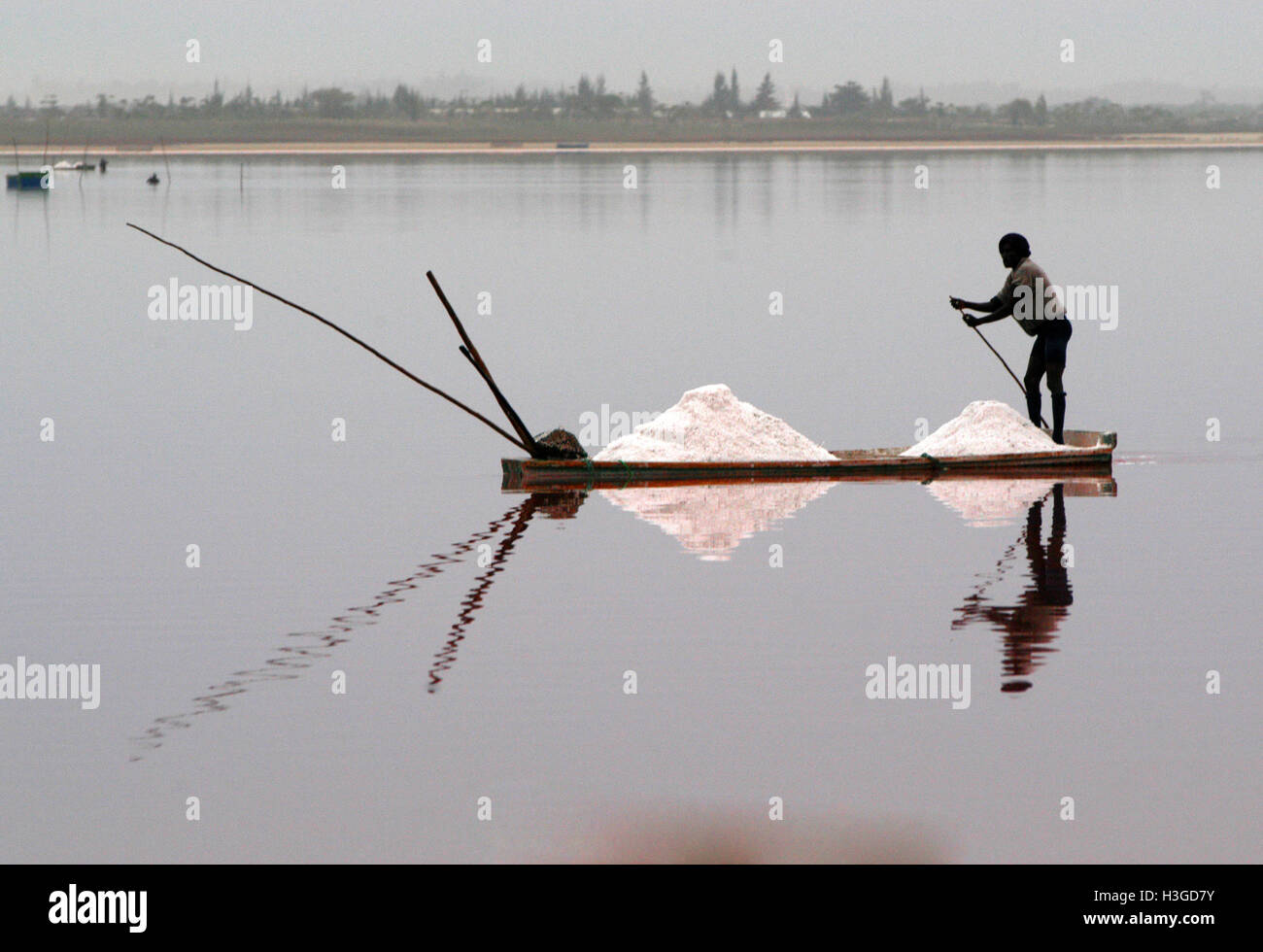 Dakar, Dakar, Senegal. 12th Feb, 2004. A lone boatman with his take of salt  from the Pink Lake (Lac Rose), Senegal. Anyone can come from anywhere in  Africa to mine salt from