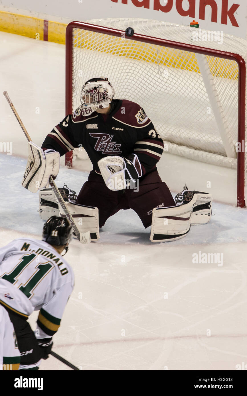 University hockey league final match – Stock Editorial Photo