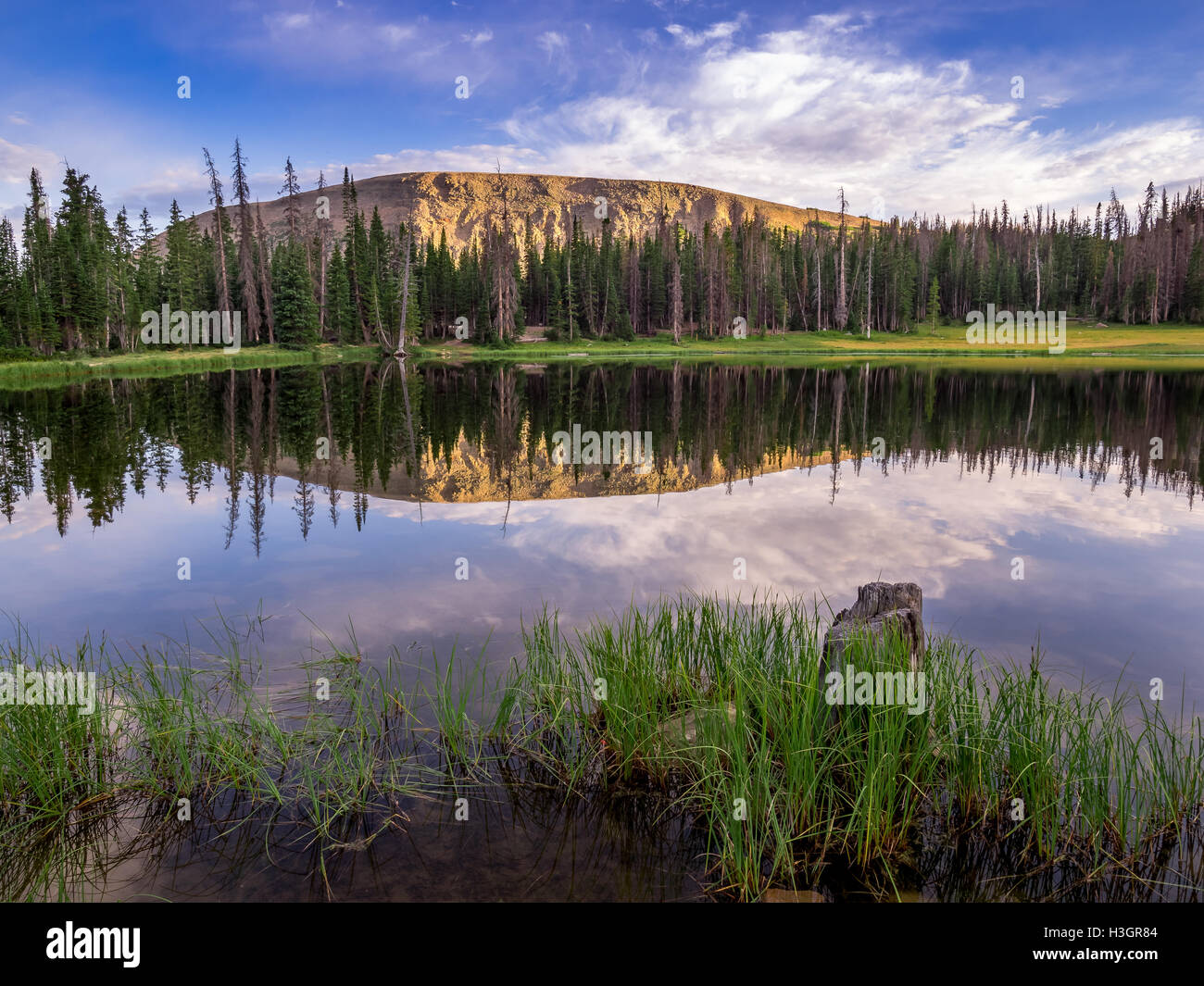 Goldenlightonmoosehornlake hires stock photography and images Alamy