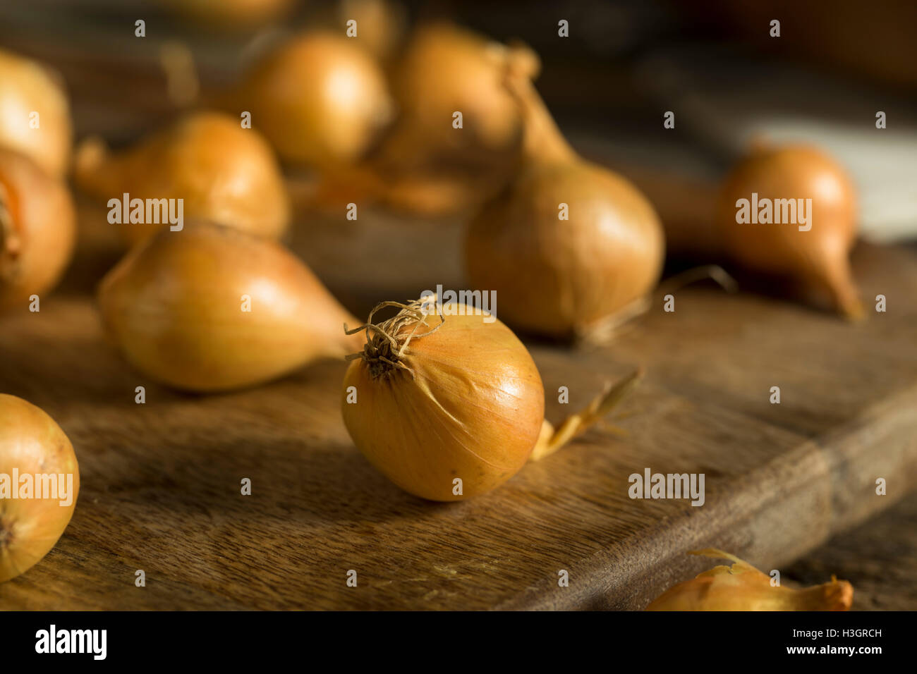 Organic Raw Yellow Pearl Onions Ready for Cooking Stock Photo Alamy