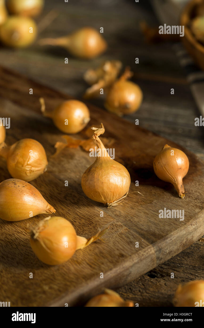 Organic Raw Yellow Pearl Onions Ready for Cooking Stock Photo Alamy
