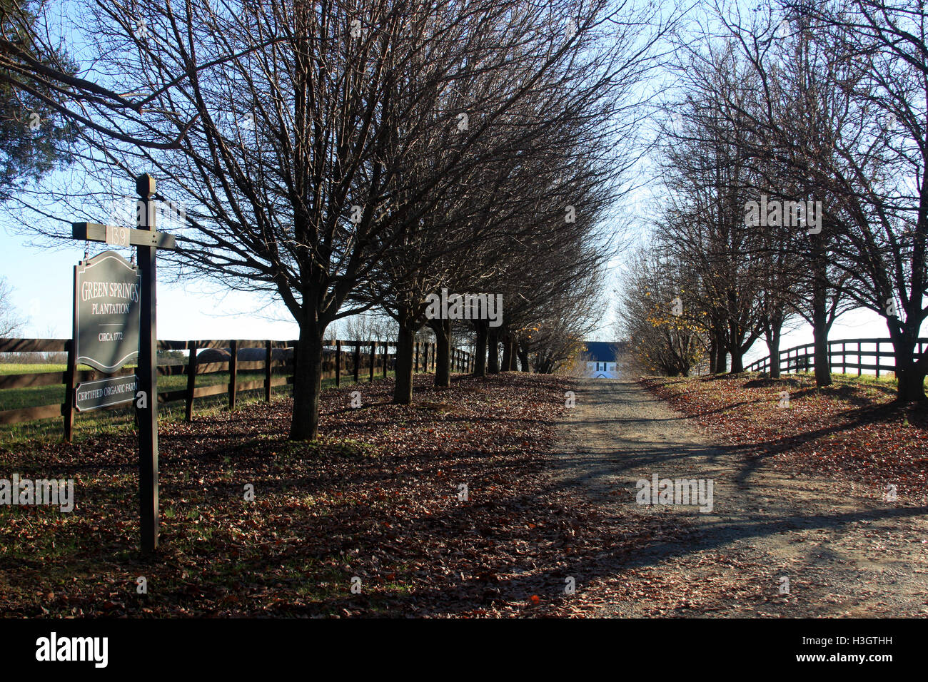 Green Springs Plantation, circa 1771, historic place in Albermarle
