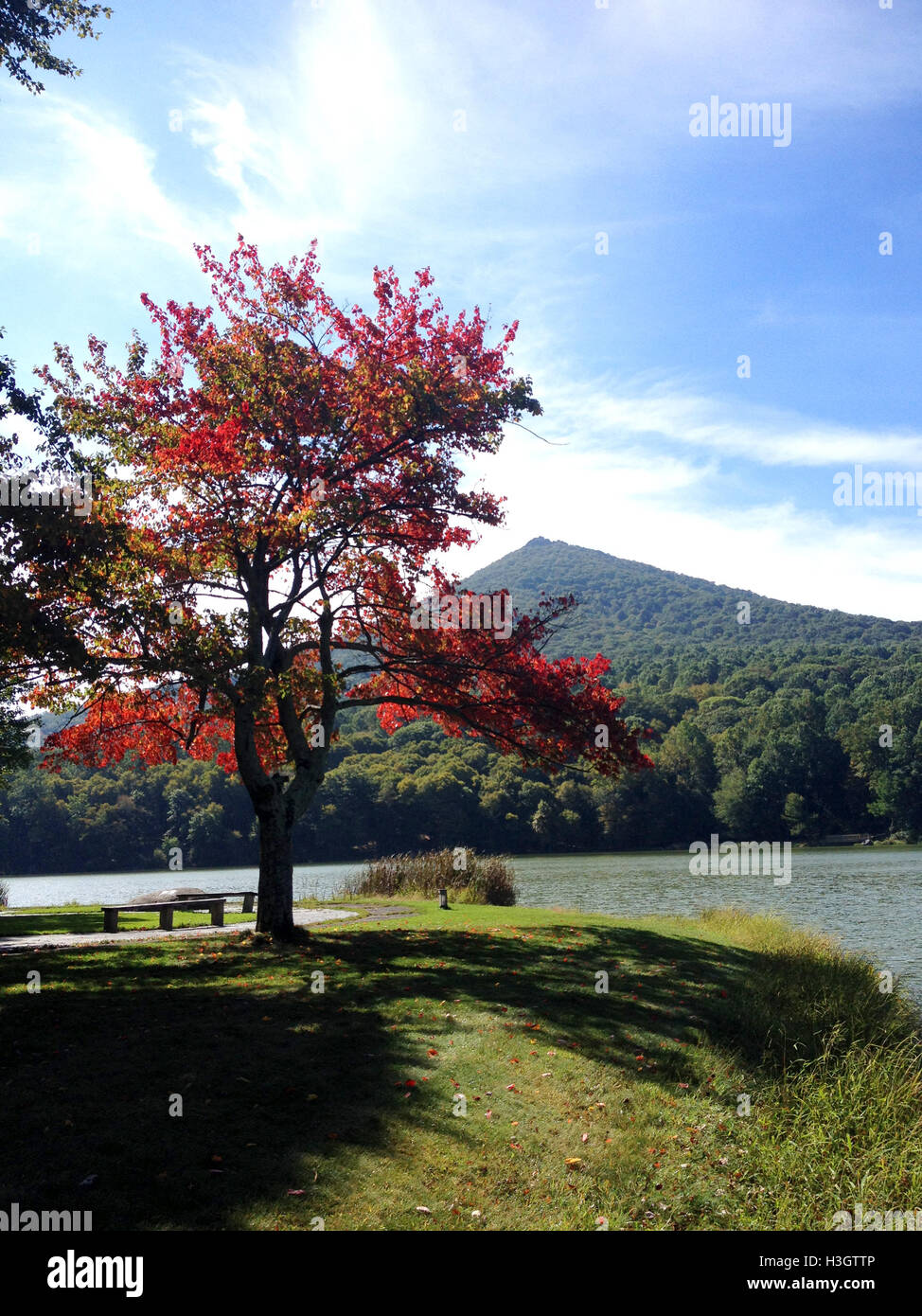 Virginia, USA. View of Abbott Lake and Sharp Top in autumn. Stock Photo