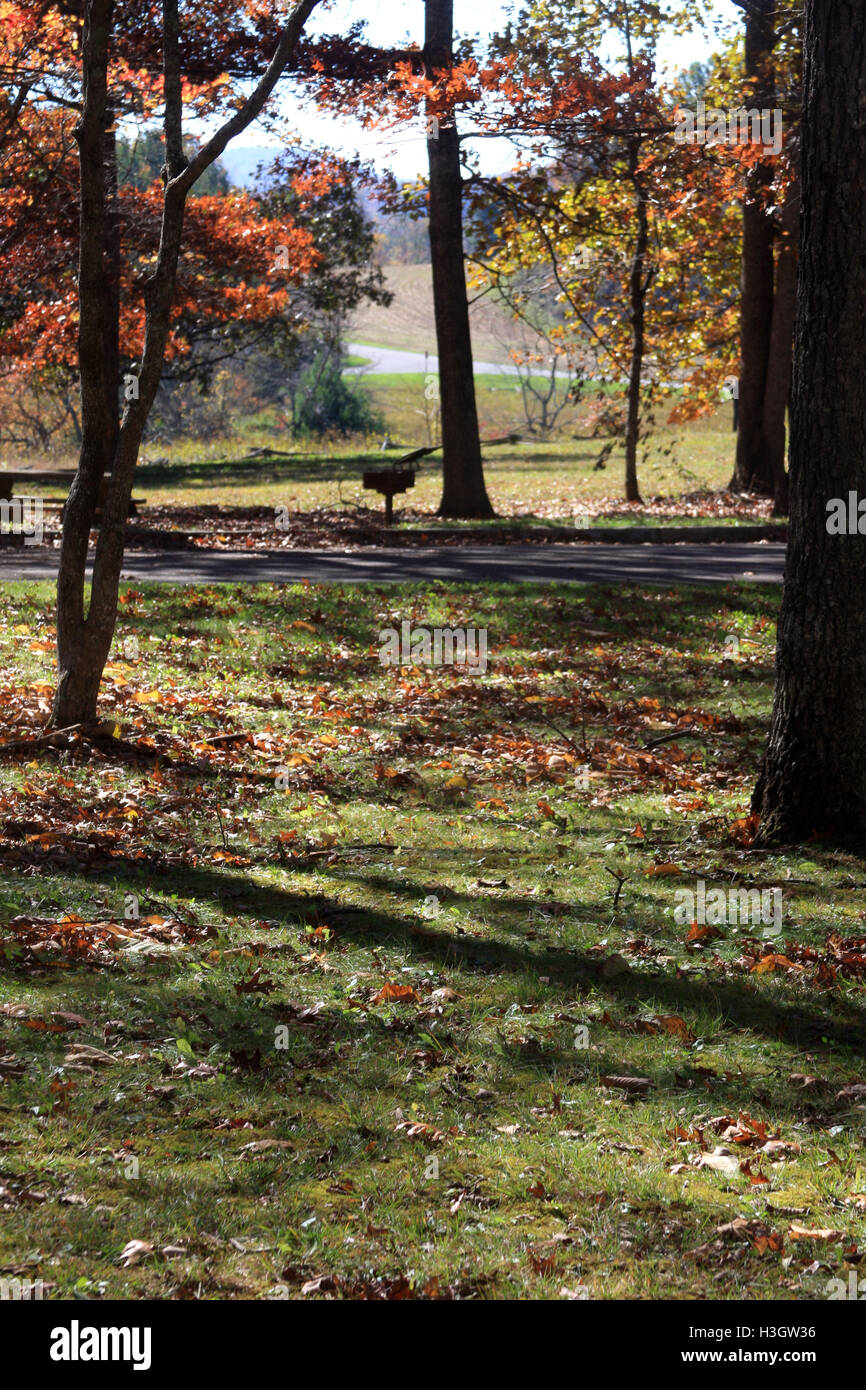 Picnic area in Blue Ridge Parkway, Virginia Stock Photo Alamy