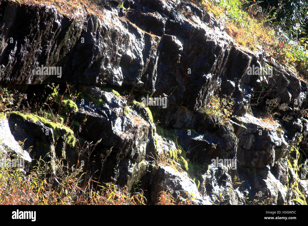 Streams of water coming out of rocks Stock Photo Alamy