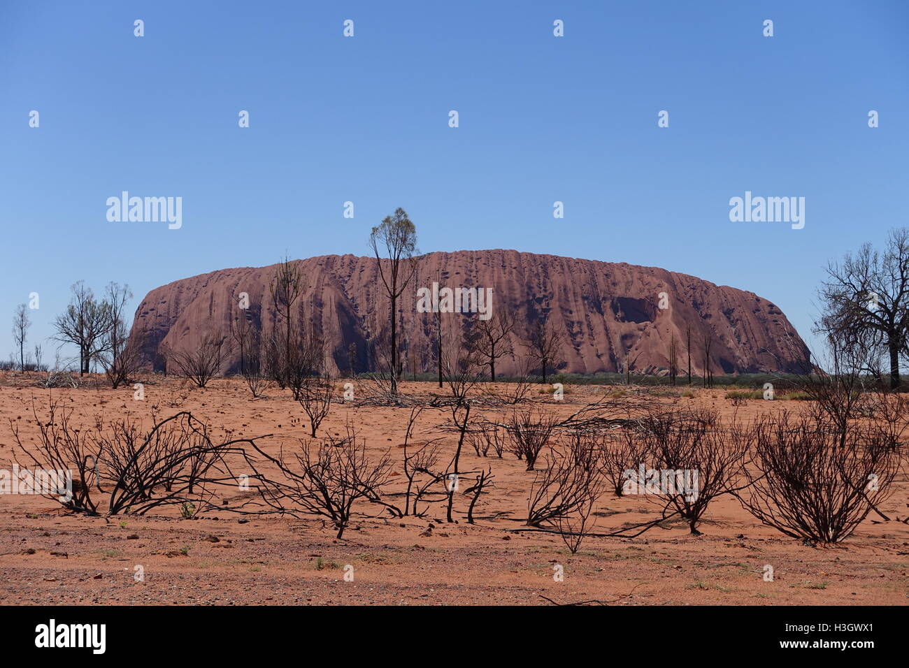 Uluru (Ayers Rock) in the Northern Territory, Australia Stock Photo
